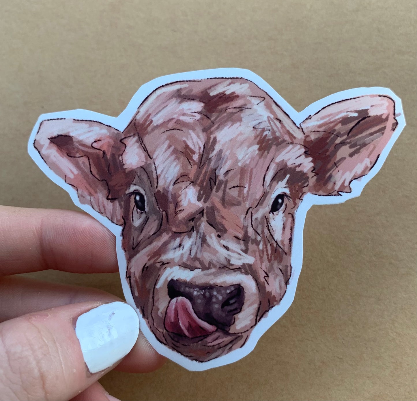 Cow Licking Nostril Sticker