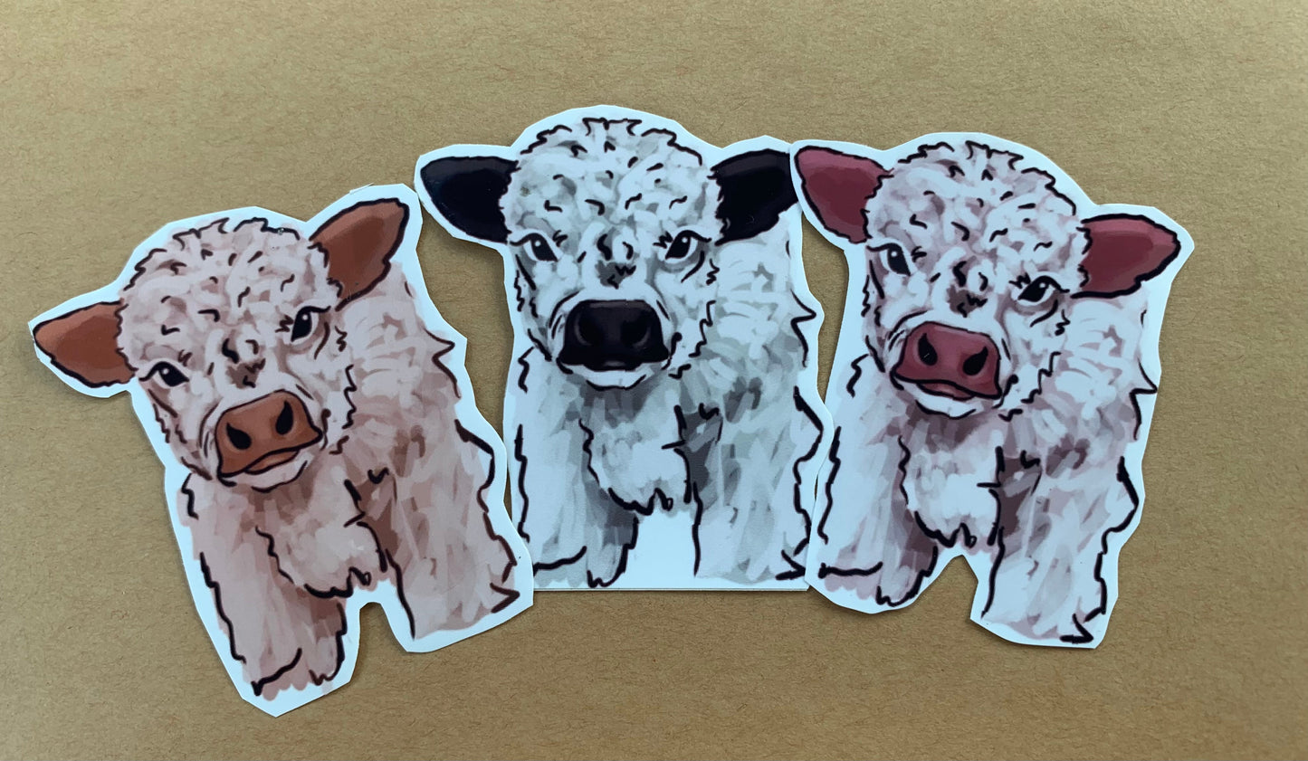 Fluffy Baby Cow (Brown, Black, Pink) Magnets