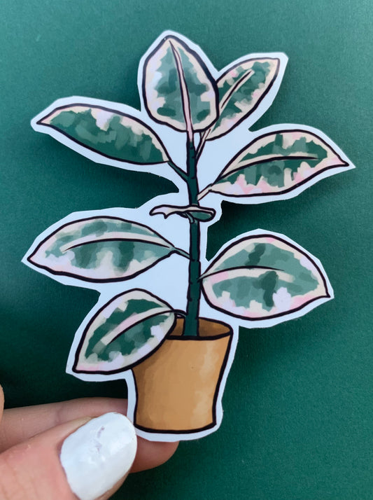 Rubber Tree Plant Sticker