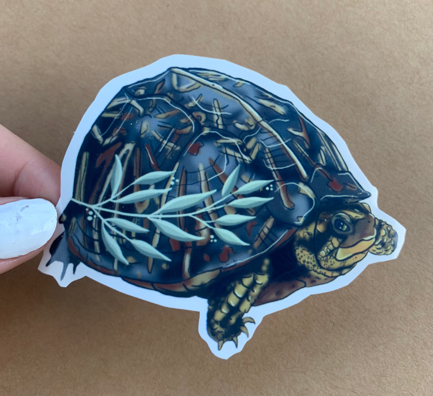 Box Turtle Sticker