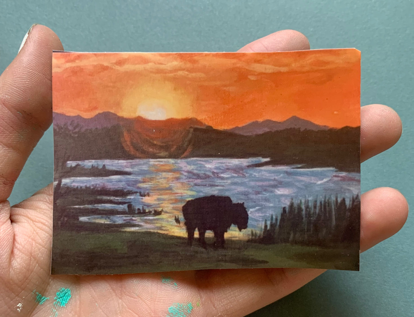 Oklahoma Sunset Bison Sticker