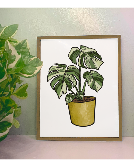 Monstera Albo Plant Art Print