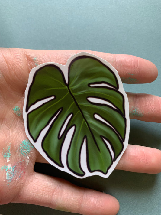 Monstera Deliciosa Leaf Plant Sticker