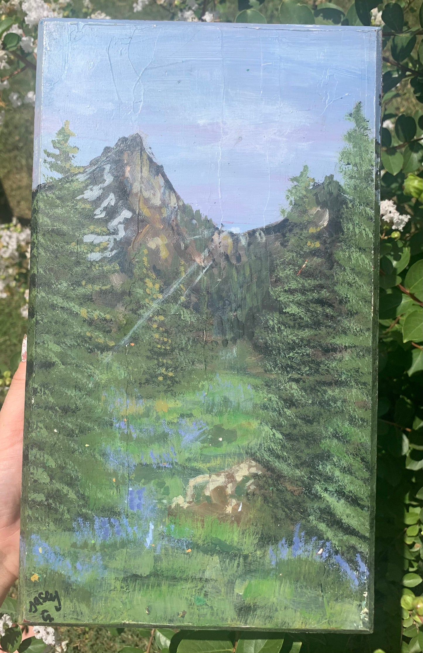 Mountain Landscape Acrylic Painting