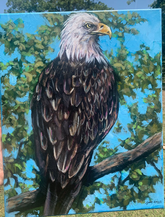 Bald Eagle Acrylic Painting 16”x20”