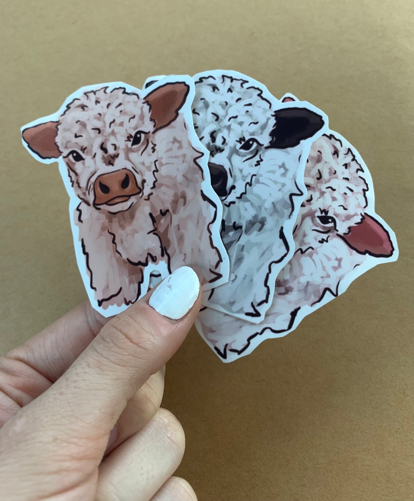 Fluffy Baby Cow (Brown, Black, Pink) Sticker