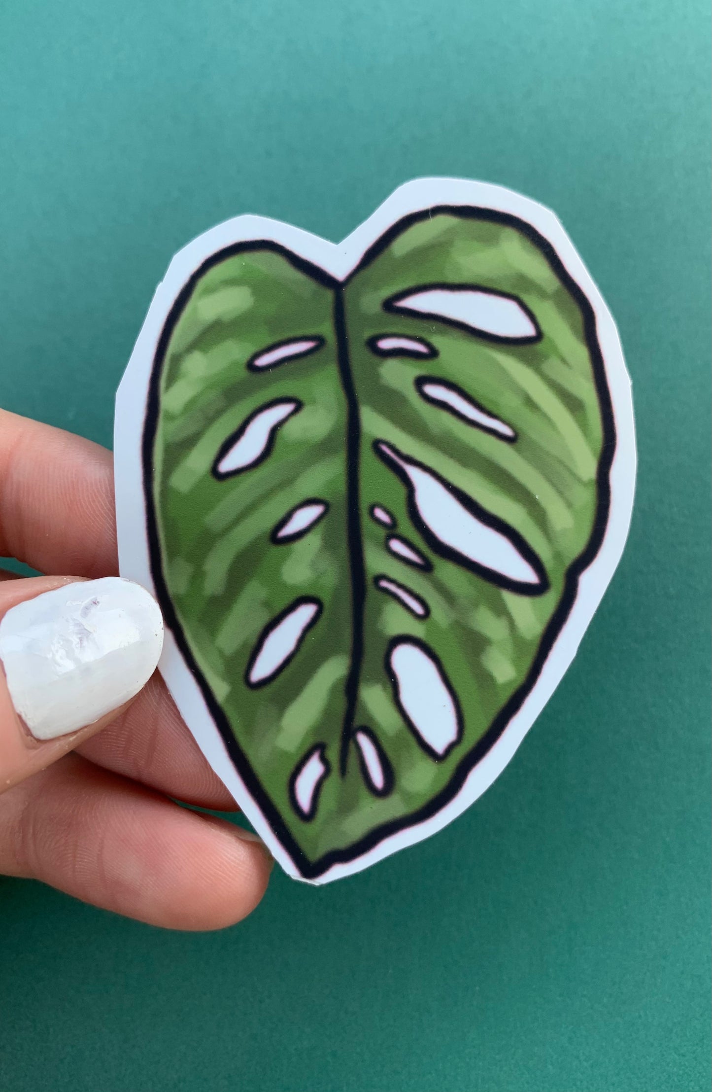 Monstera Leaf Plant Sticker