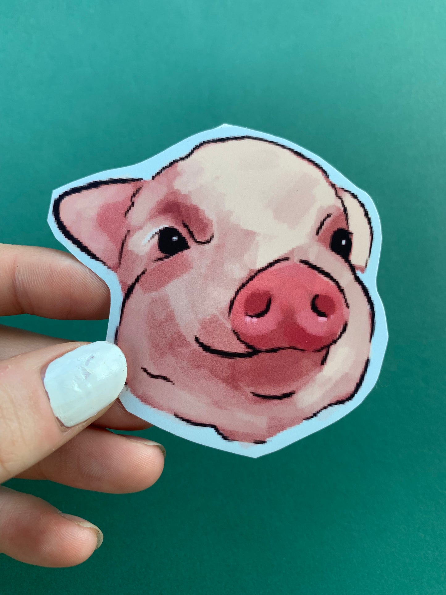 Pig Sticker