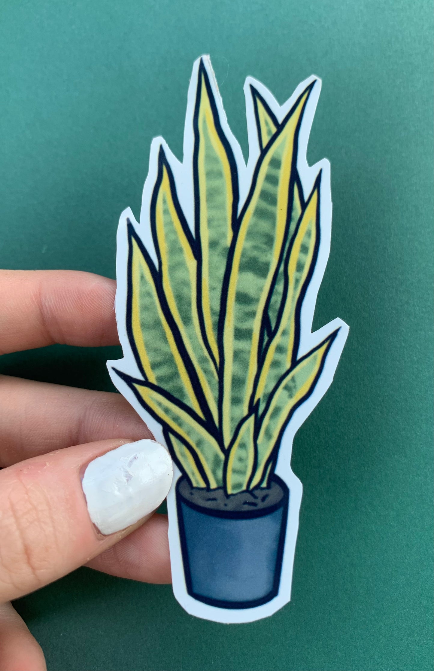 Snake Plant Sticker